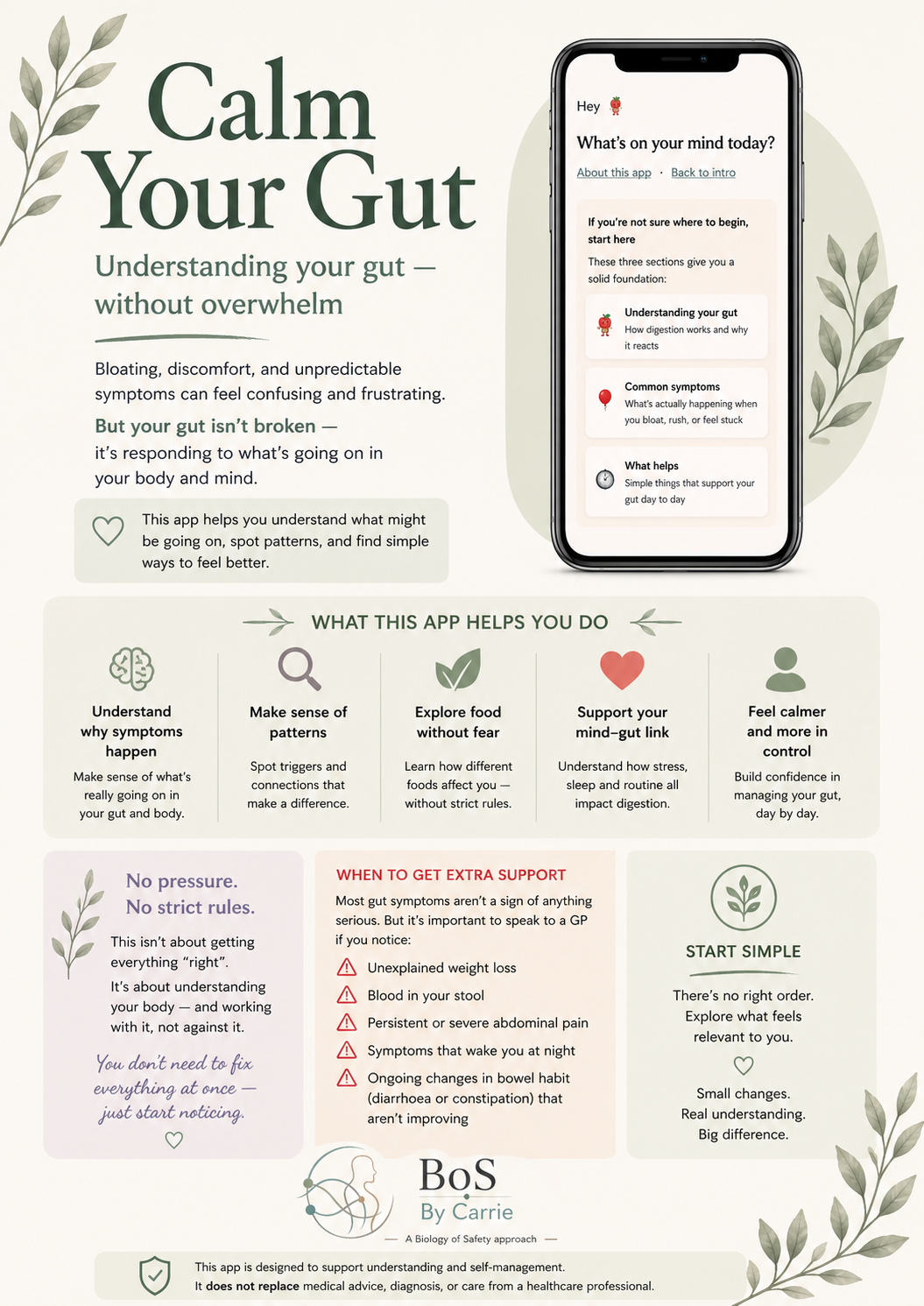 Calm Your Gut overview infographic